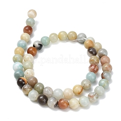 Natural Flower Amazonite Beads Strands&nbsp;G-F826-C01-8mm