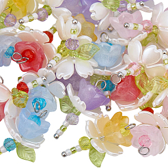 40Pcs 5 Colors Acrylic & ABS Plastic Imitation Pearl Pendants&nbsp;FIND-BM0001-51