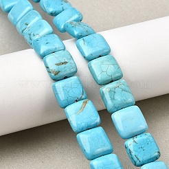 Natural Howlite Beads Strands&nbsp;G-C025-13