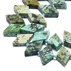 Natural African Turquoise(Jasper) Beads Strands&nbsp;G-K245-E01-01