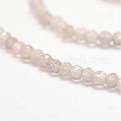 Natural Labradorite Bead Strands&nbsp;G-P279-57-2mm