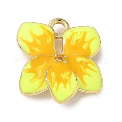 Brass Micro Pave Clear Cubic Zirconia Charms&nbsp;KK-CBA74BF-05G-01