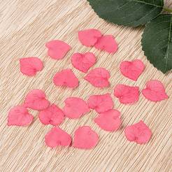 Transparent Acrylic Pendants&nbsp;PL591-3