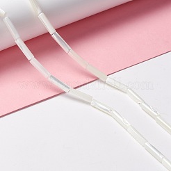 Natural Trochid Shell/Trochus Shell Beads&nbsp;SSHEL-O001-26B