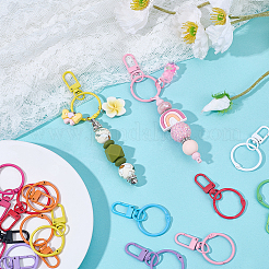 20Pcs 10 Colors Spray Painted Zinc Alloy Swivel Clasps&nbsp;FIND-SP0005-53