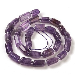 Natural Amethyst Beads Strands&nbsp;G-M403-B23