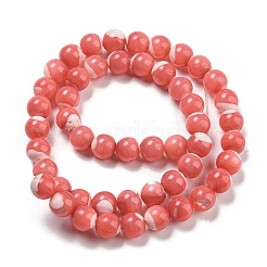 Dyed Natural Trochus Shell Beads Strands&nbsp;BSHE-G034-25A
