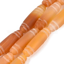Natural Agate Beads Strands&nbsp;G-Q606-42F