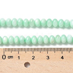 Natural Freshwater Shell Beads Strands&nbsp;SSHEL-C013-07D