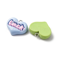 Resin Pendants&nbsp;CRES-U007-02P
