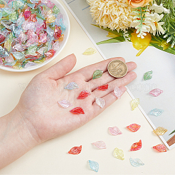 100Pcs Transparent Acrylic Pendants&nbsp;MACR-SC0002-68