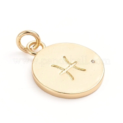 Brass Micro Pave Cubic Zirconia Pendants&nbsp;ZIRC-E164-34D-G