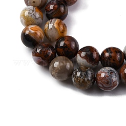 Natural Mexico Crazy Agate Beads Strands&nbsp;G-L615-A01-02
