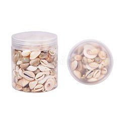 Natural Trumpet Shell Beads&nbsp;BSHE-PH0001-11