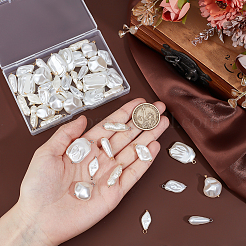 48Pcs 2 Colors 6 Style ABS Plastic Imitation Pearl Pendants&nbsp;PALLOY-PH01797