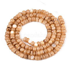 Natural Freshwater Shell Dyed Beads Strands&nbsp;SHEL-T020-29A-04