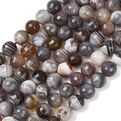 Natural Botswana Agate Beads Strands&nbsp;G-G453-B01-10mm