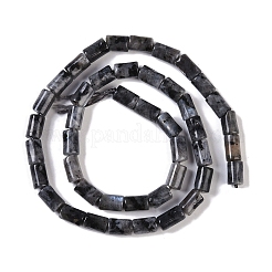 Natural Larvikite Beads Strands&nbsp;G-C128-A03-01