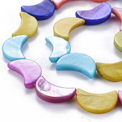 Natural Freshwater Shell Beads Strands&nbsp;SHEL-N026-165