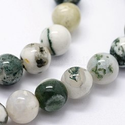 Natural Tree Agate Beads Strands&nbsp;X-G-I199-03-6mm