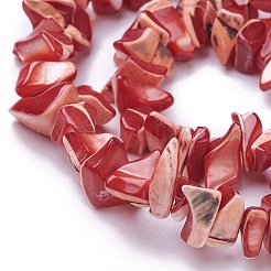 Freshwater Shell Beads Strands&nbsp;BSHE-L039-05