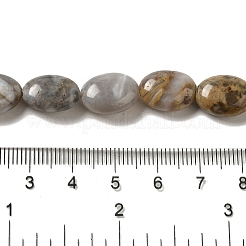 Natural Crazy Lace Agate Beads Strands&nbsp;G-G102-B01-01