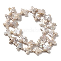 Natural Baroque Pearl Keshi Pearl Beads Strands&nbsp;PEAR-E016-005