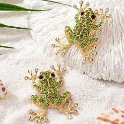 Alloy & Rhinestone Stud Earrings&nbsp;FS-WG98FAE-01