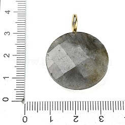 Natural Labradorite Faceted Pendants&nbsp;G-A287-02G-13