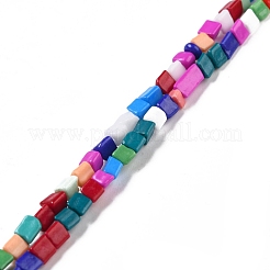 Glass Beads Strands&nbsp;LAMP-F022-01F