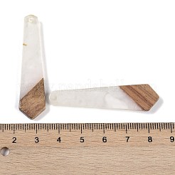 Resin & Wood Pendants&nbsp;WOOD-F015-05C