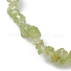 Natural Olive Jade Chips Beaded Stretch Bracelets for Women&nbsp;BJEW-JB10046-02