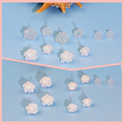 12 Pairs 6 Styles Resin Stud Earrings&nbsp;EJEW-SP0001-14