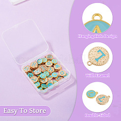 2Bags 2 Styles Alloy Enamel Pendants&nbsp;ENAM-TA0003-53B