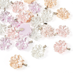 24Pcs 4 Colors Resin Pendants&nbsp;PALLOY-TAC0303