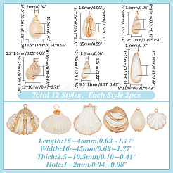 24Pcs 12 Styles Electroplated Natural Mixed Shell Pendants&nbsp;SHEL-ME0001-09