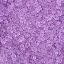 FGB Frosted Transparent Glass Seed Beads&nbsp;SEED-N013-06A-07
