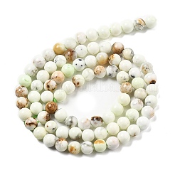 Natural Lemon Turquoise(Jasper) Beads Strands&nbsp;G-A262-A04-5mm
