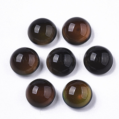 Translucent Glass Cabochons&nbsp;GLAA-T023-03B