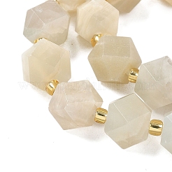 Natural Moonstone Beads Strands&nbsp;G-G271-A02-01