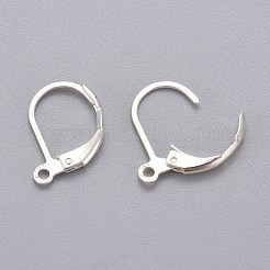 316L Surgical Stainless Steel Leverback Earring Findings&nbsp;STAS-E194-03S