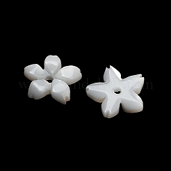 Natural White Shell Beads&nbsp;SH-CBA93AD-08