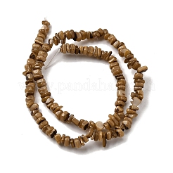 Natural Freshwater Shell Beads&nbsp;SHEL-B003-01D