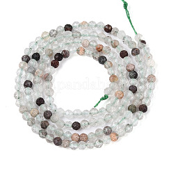 Natural Green Lodolite Quartz/Garden Quartz Beads Strands&nbsp;G-T143-01