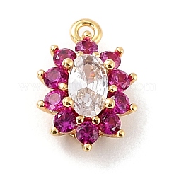 Eco-Friendly Brass Micro Pave Cubic Zirconia Charms&nbsp;ZIRC-C027-12G-RS