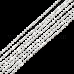 Natural White Shell Beads&nbsp;G-N0190-11-2mm