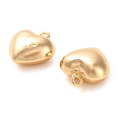 Brass Pendants&nbsp;KK-F870-03G-01