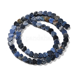 Natural Sodalite Beads Strands&nbsp;G-M403-A08-02