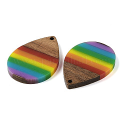 Pride Rainbow Theme Resin & Walnut Wood Pendants&nbsp;WOOD-K012-09B
