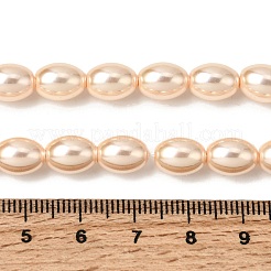 Electroplated Shell Pearl Beads Strands&nbsp;BSHE-B008-07C